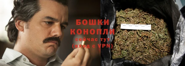 mix Богородицк
