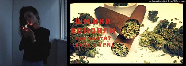шишки Беломорск