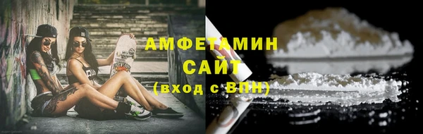 шишки Беломорск