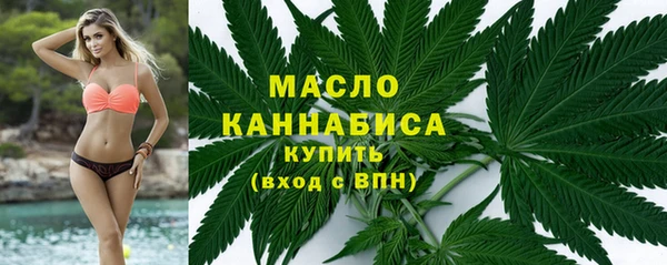mix Богородицк