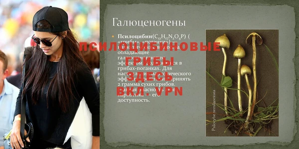 Альфа ПВП Белокуриха