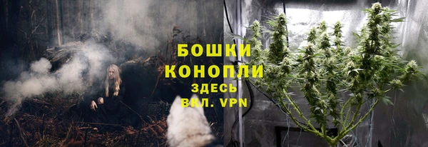 СК Богданович