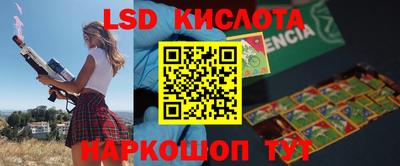 прущие грибы Будённовск