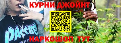 прущие грибы Будённовск