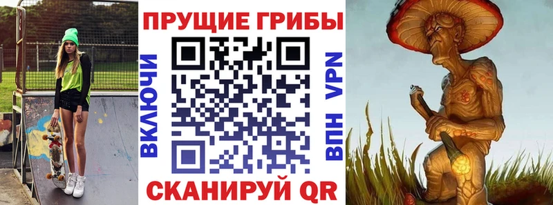 Галлюциногенные грибы прущие грибы  купить   ссылка на мегу ТОР  Гусев 