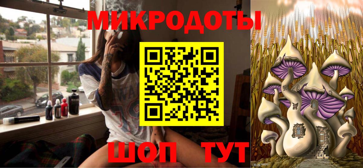 Гусев  Псилоцибиновые грибы MAGIC MUSHROOMS  Вход с VPN  Галлюциногенные грибы мицелий 