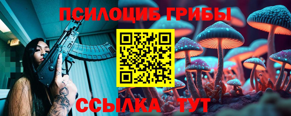 Псилоцибиновые грибы MAGIC MUSHROOMS Гусев