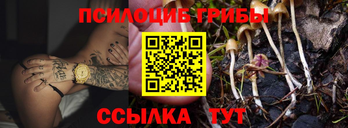 Меф Гусев