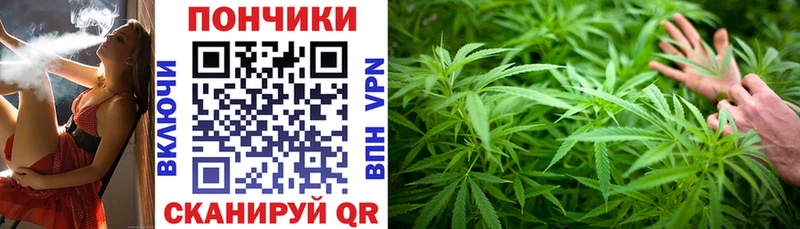 мега маркетплейс  Гусев  Бошки марихуана OG Kush 